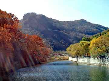 新澳门二四六天天彩，恐怖杀人医院